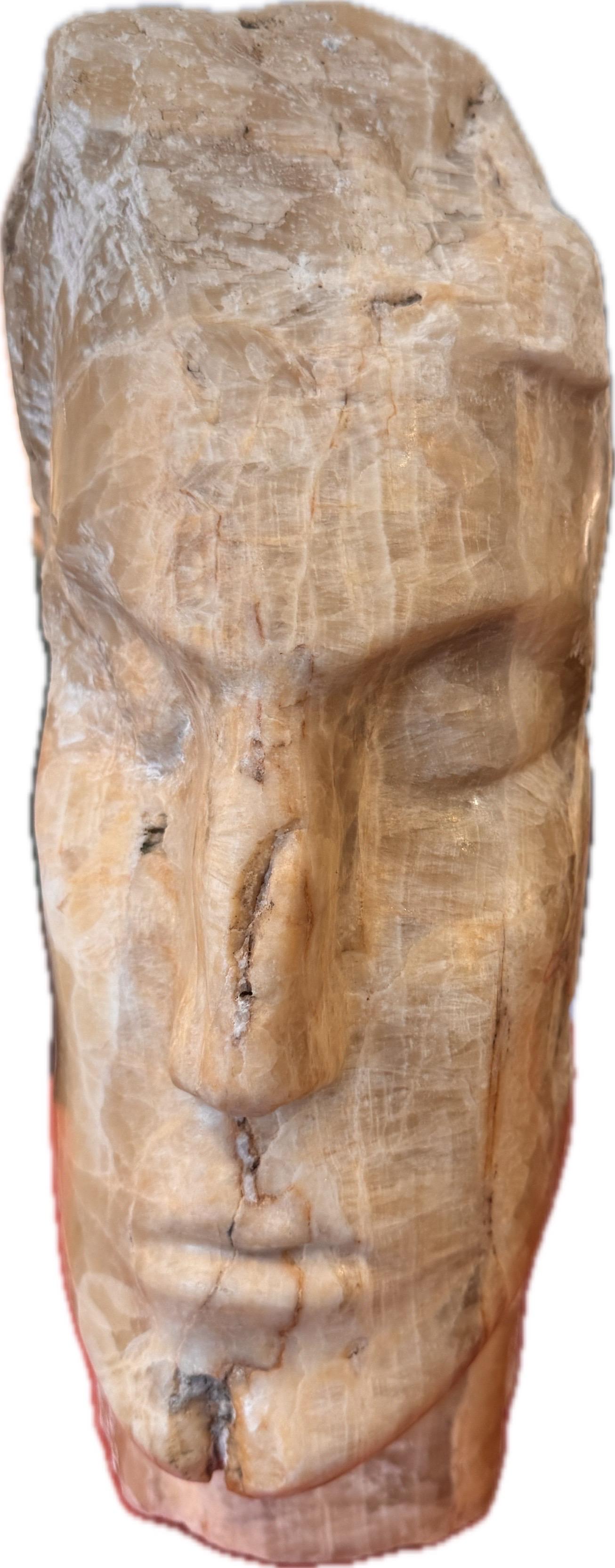 A large marble head sculpture in the style of Emily Young For Sale 1