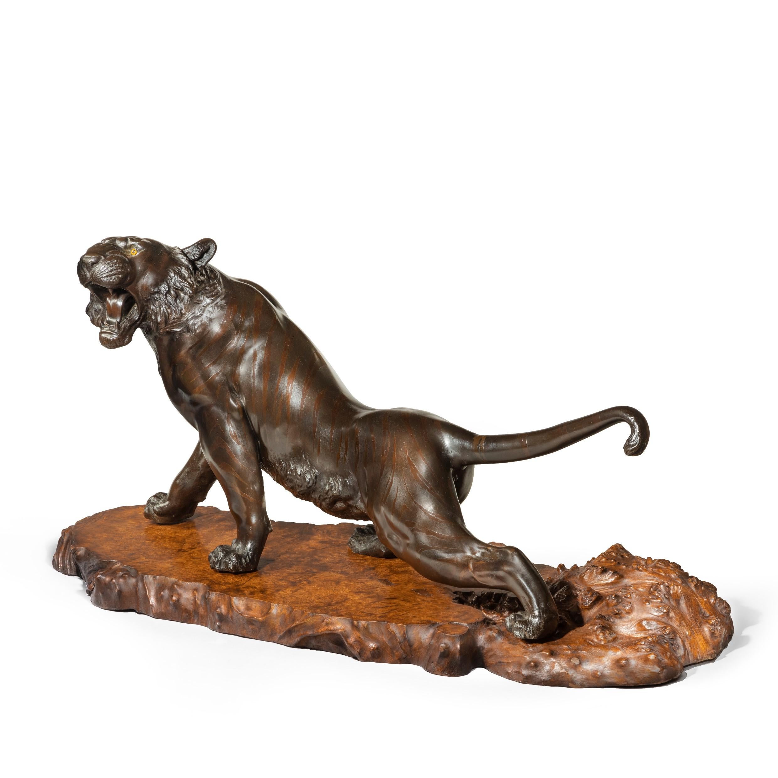 Großer Bronze-Tiger aus der Meiji-Periode von Genryusai Seiya im Angebot 4