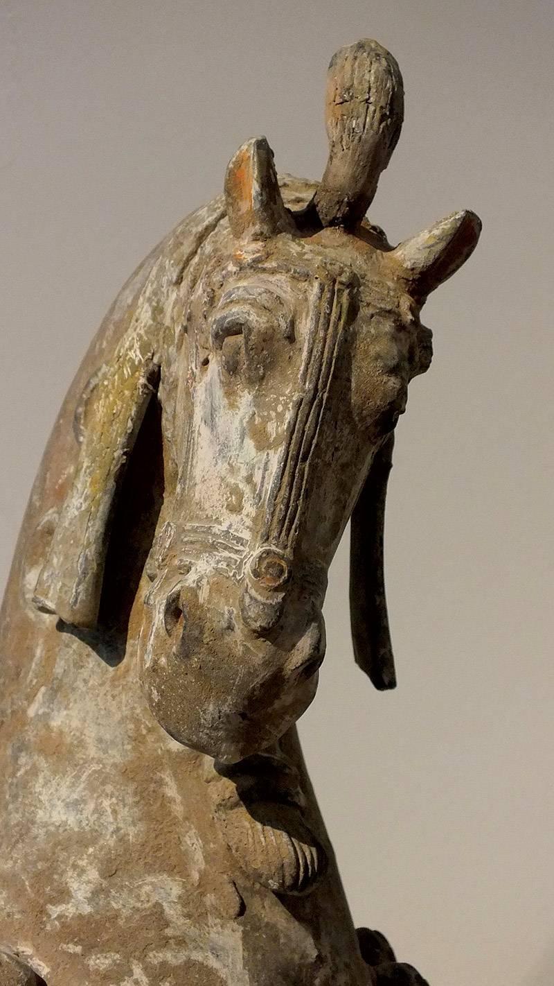 Large Painted Grey Pottery Figure of a Caparisoned Standing Horse 2