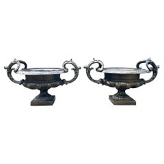Antique A Large pair of French Urns with beautifully scrolled handles
