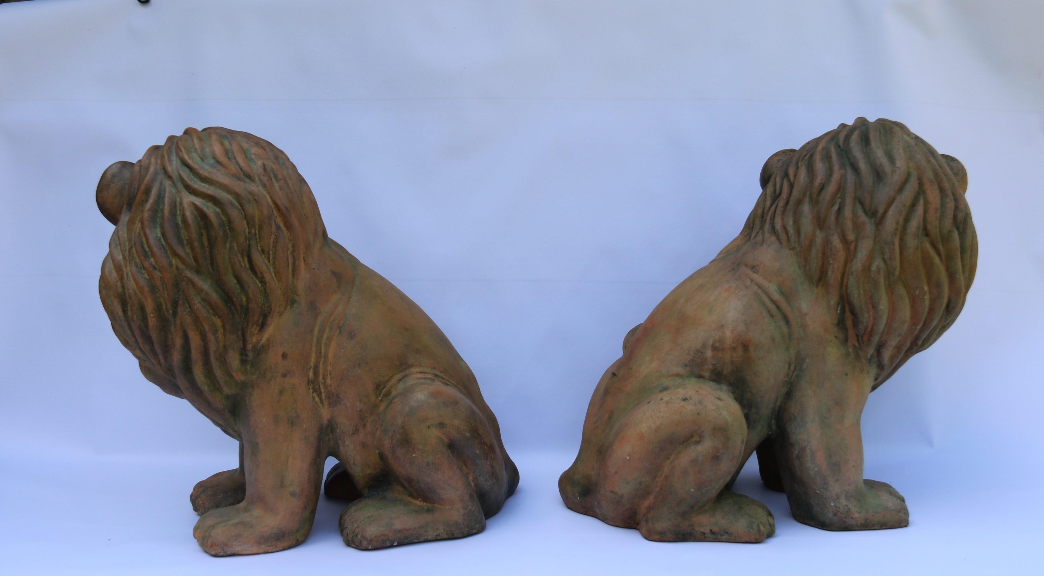 Large Pair of Italian Terracotta Seated Classical Lions, circa 1910 For Sale 3