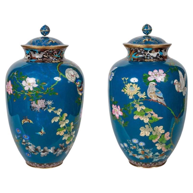 Großes Paar japanischer Vasen und Deckel aus Cloisonné-Emaille mit blauer Umrandung und blauer Glasur, Meiji