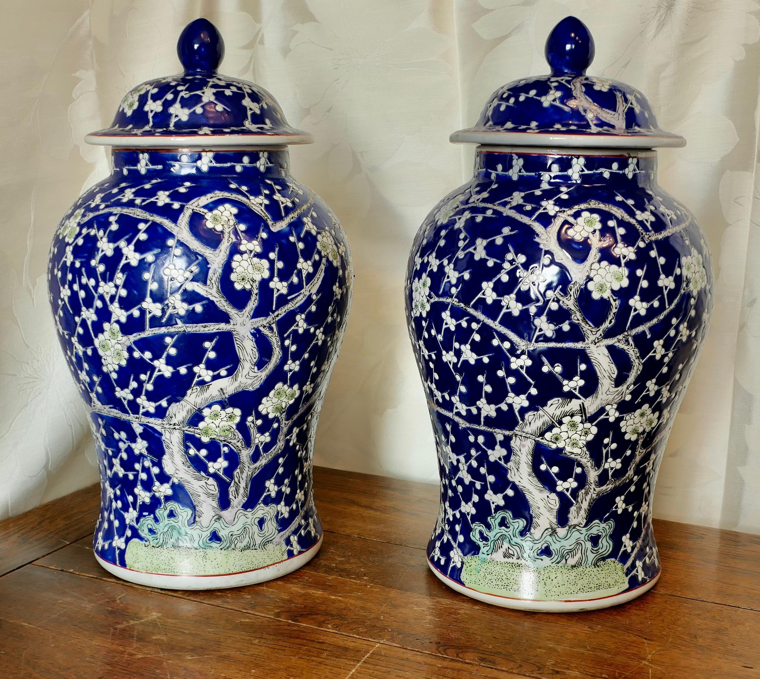 Una grande coppia di barattoli di zenzero in porcellana orientale


Una bella coppia di barattoli vintage splendidamente decorati con fiori di ciliegio in smalto ceramico blu 
I barattoli hanno entrambi i loro coperchi e sono in buone condizioni