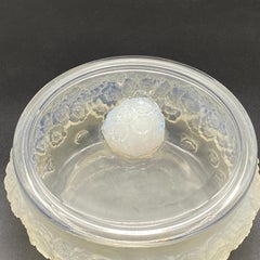 Large Primevères Glass Boxe by R.Lalique