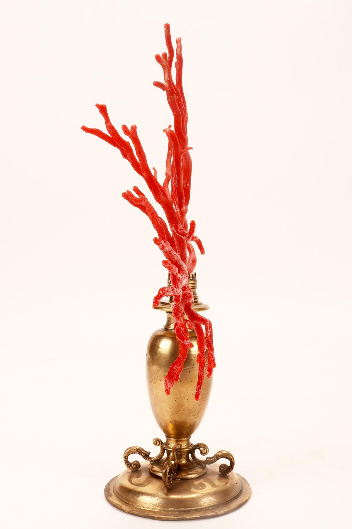 Italian A large red coral branch from Wunderkammer, Italy 1850.  For Sale