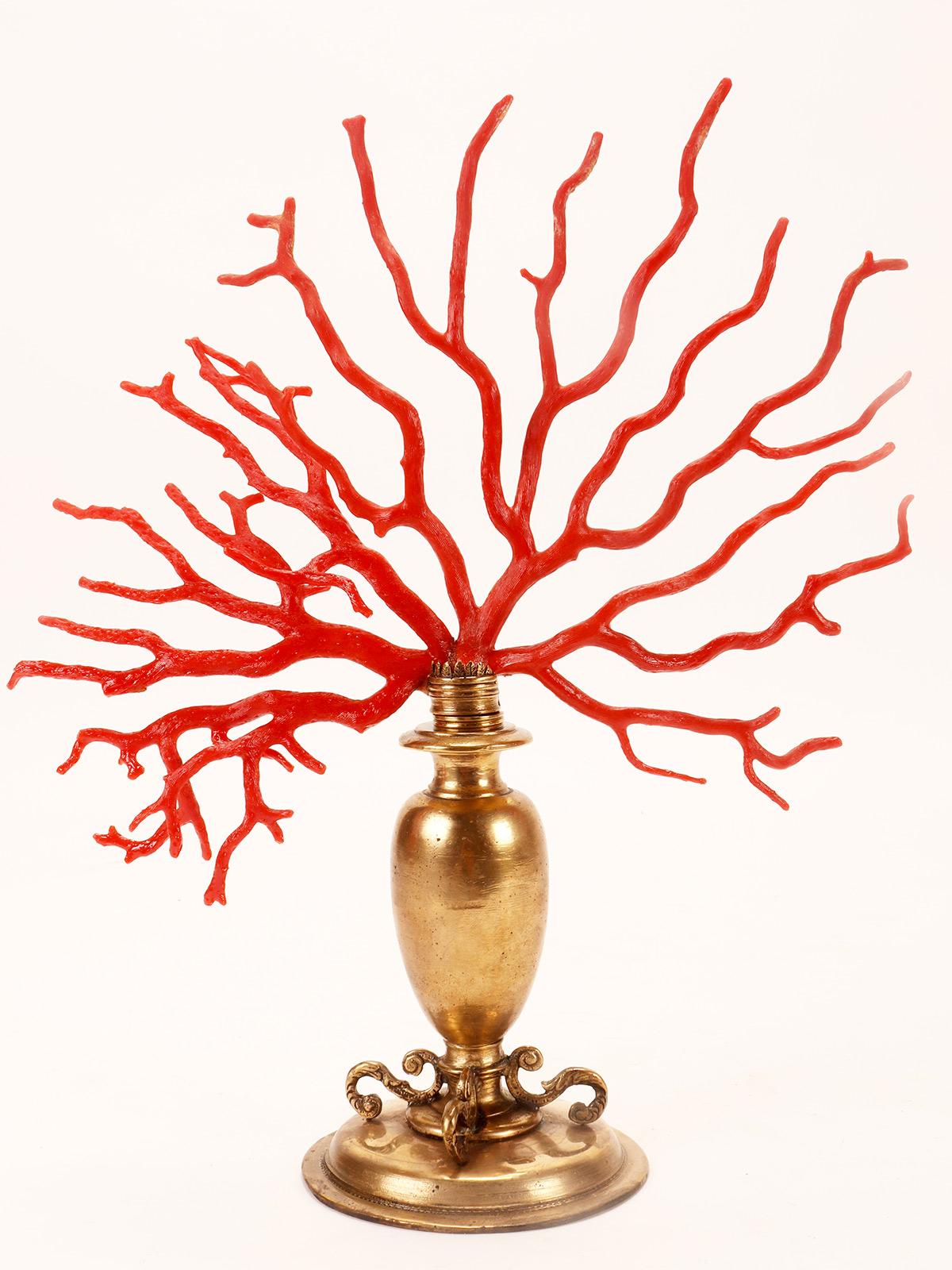 A large red coral branch from Wunderkammer, Italy 1850.  In Good Condition For Sale In Milan, IT