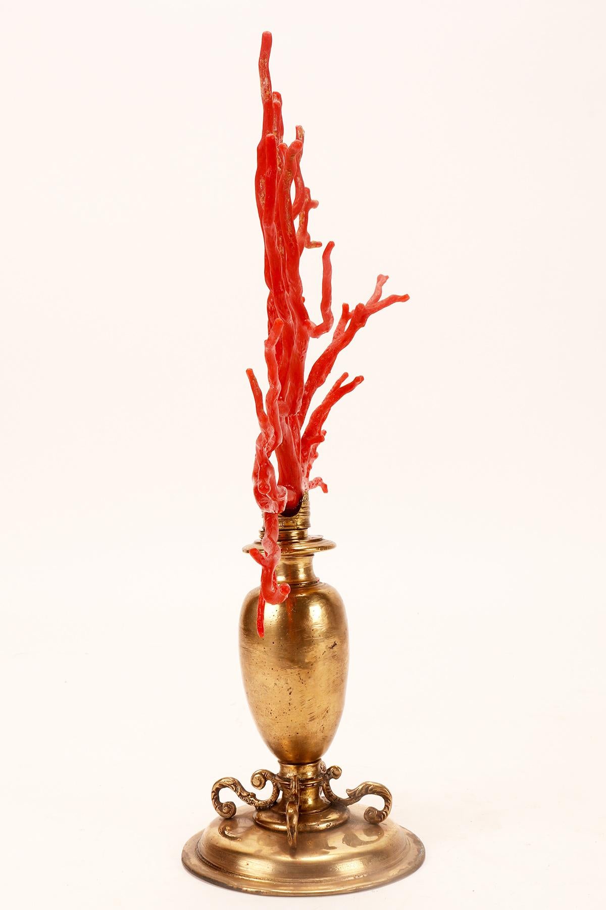 19th Century A large red coral branch from Wunderkammer, Italy 1850.  For Sale
