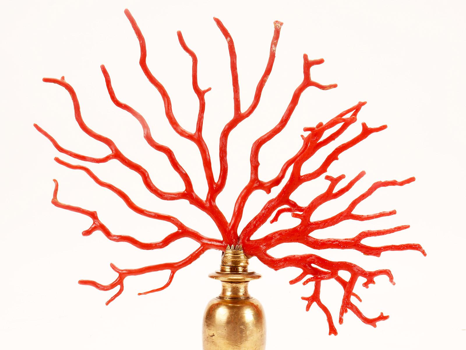 Bronze A large red coral branch from Wunderkammer, Italy 1850.  For Sale
