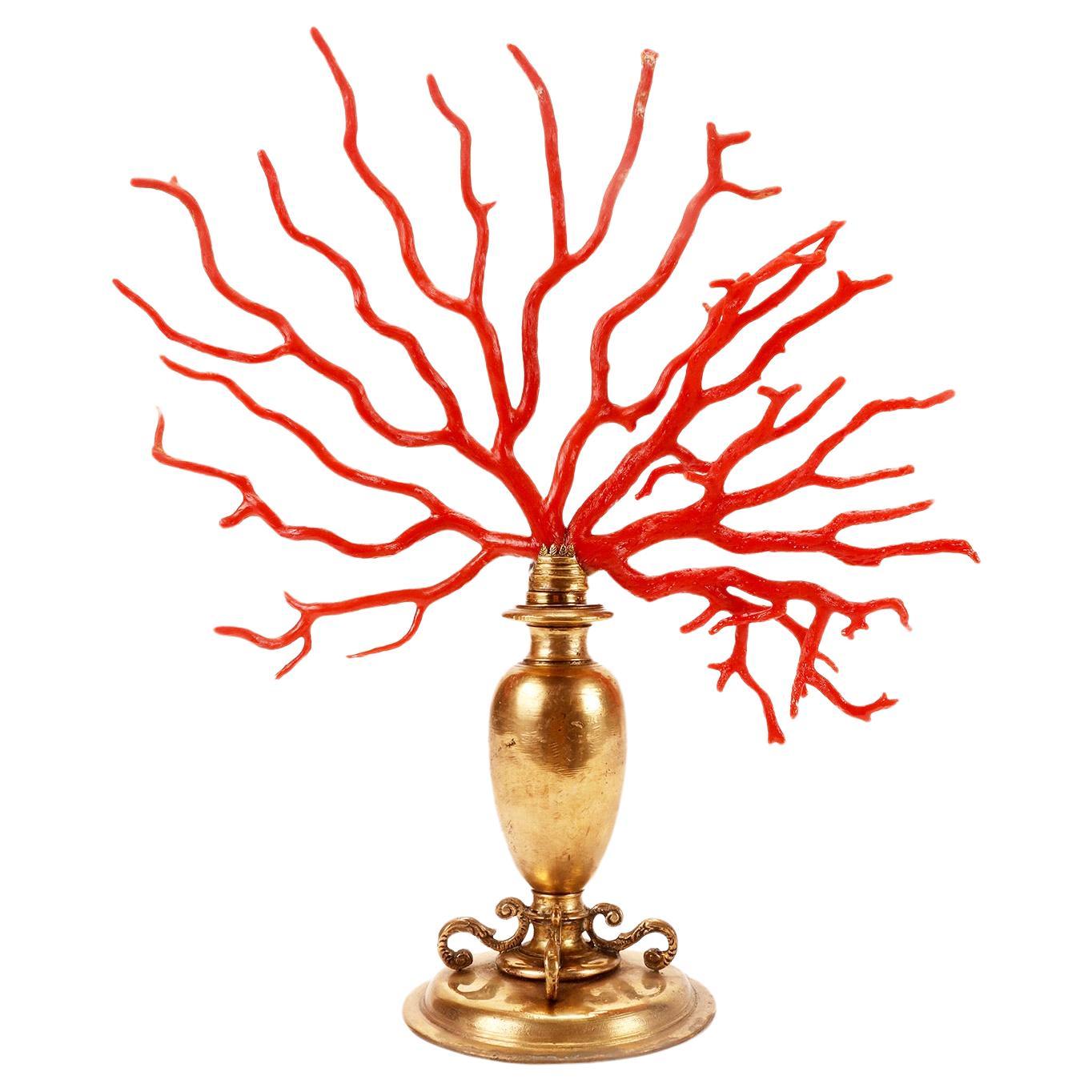 A large red coral branch from Wunderkammer, Italy 1850.  For Sale