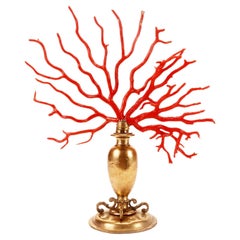 A large red coral branch from Wunderkammer, Italy 1850. 