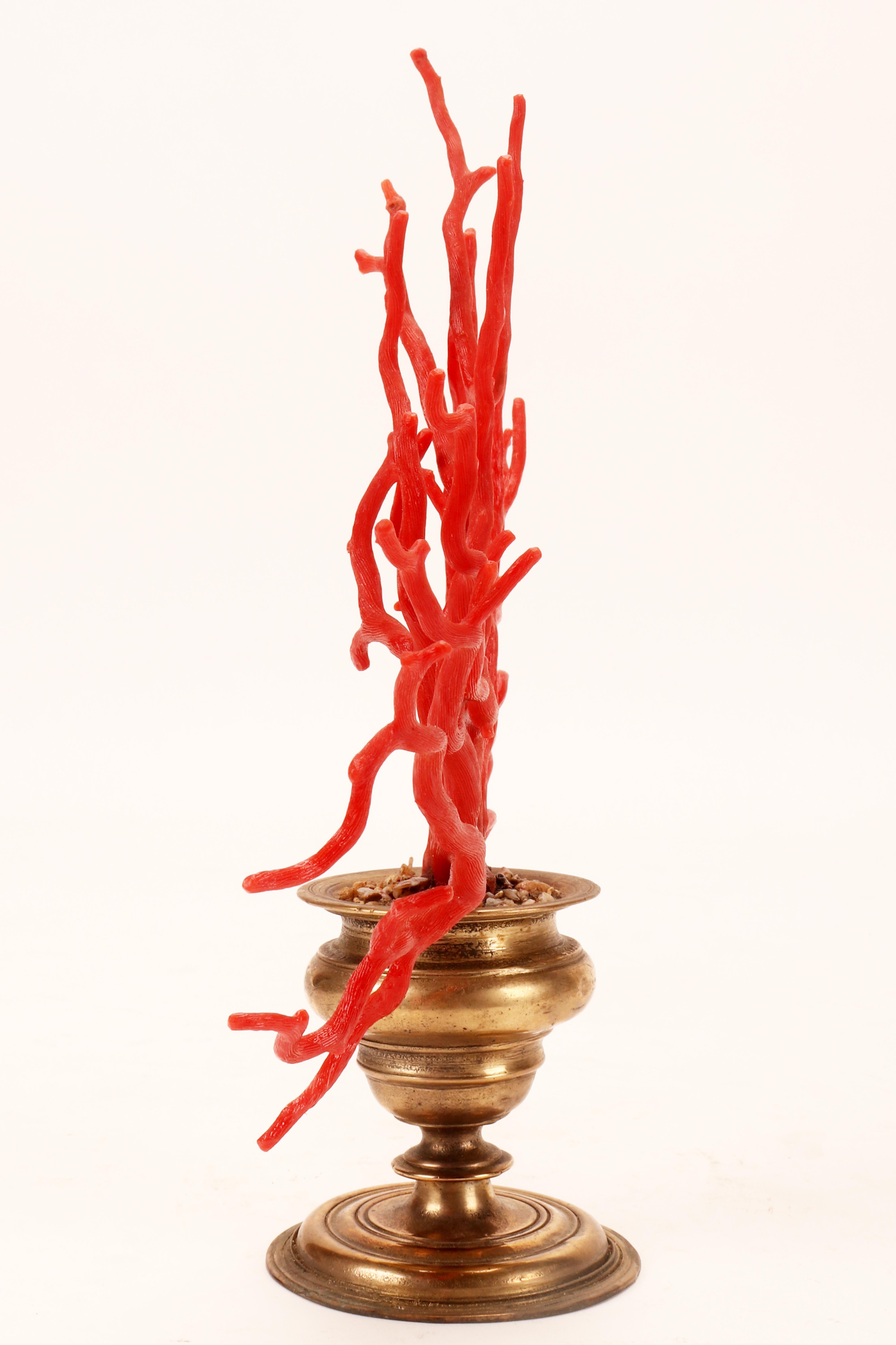 Italian A large red coral branch from Wunderkammer, Italy 1870.  For Sale