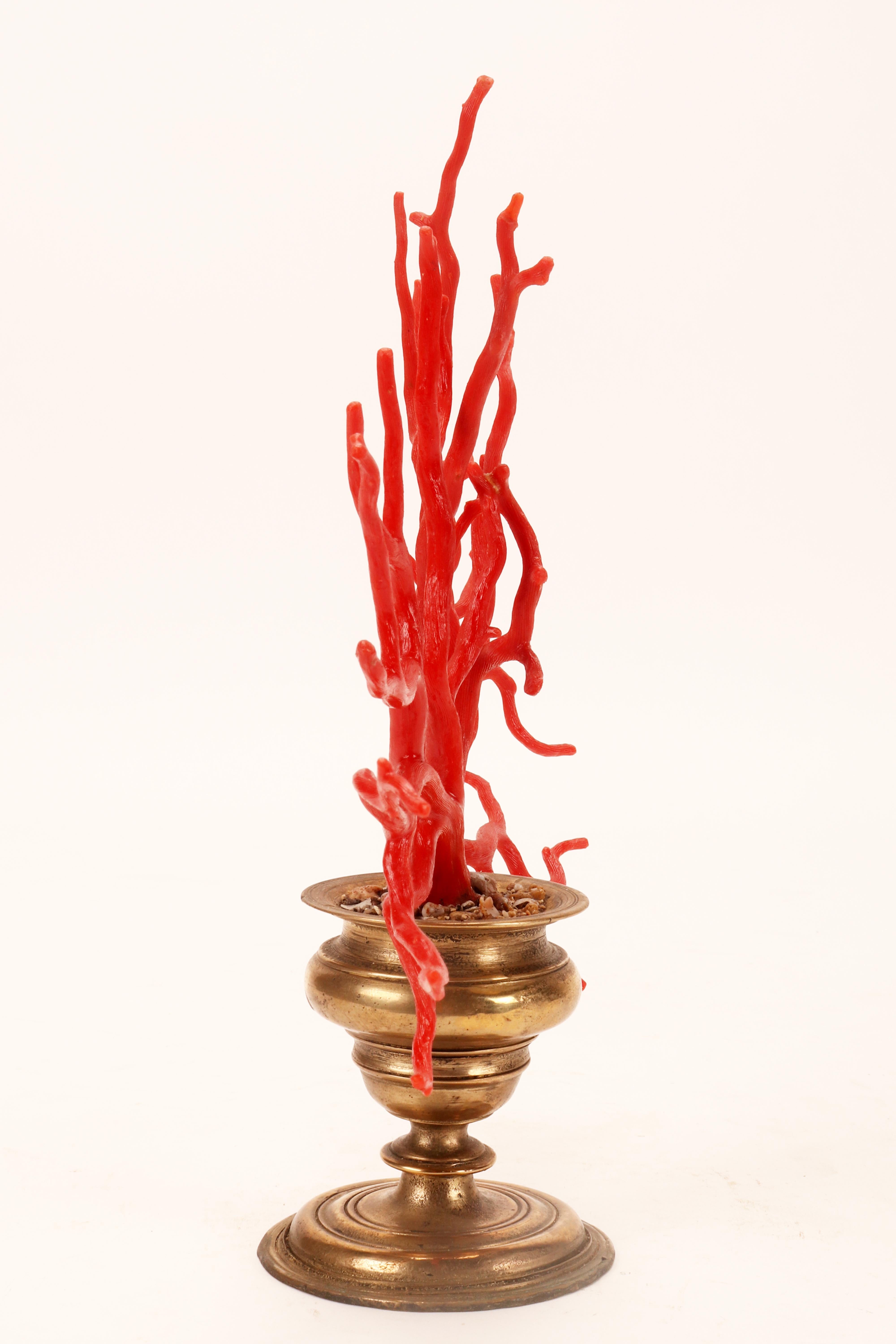 19th Century A large red coral branch from Wunderkammer, Italy 1870.  For Sale