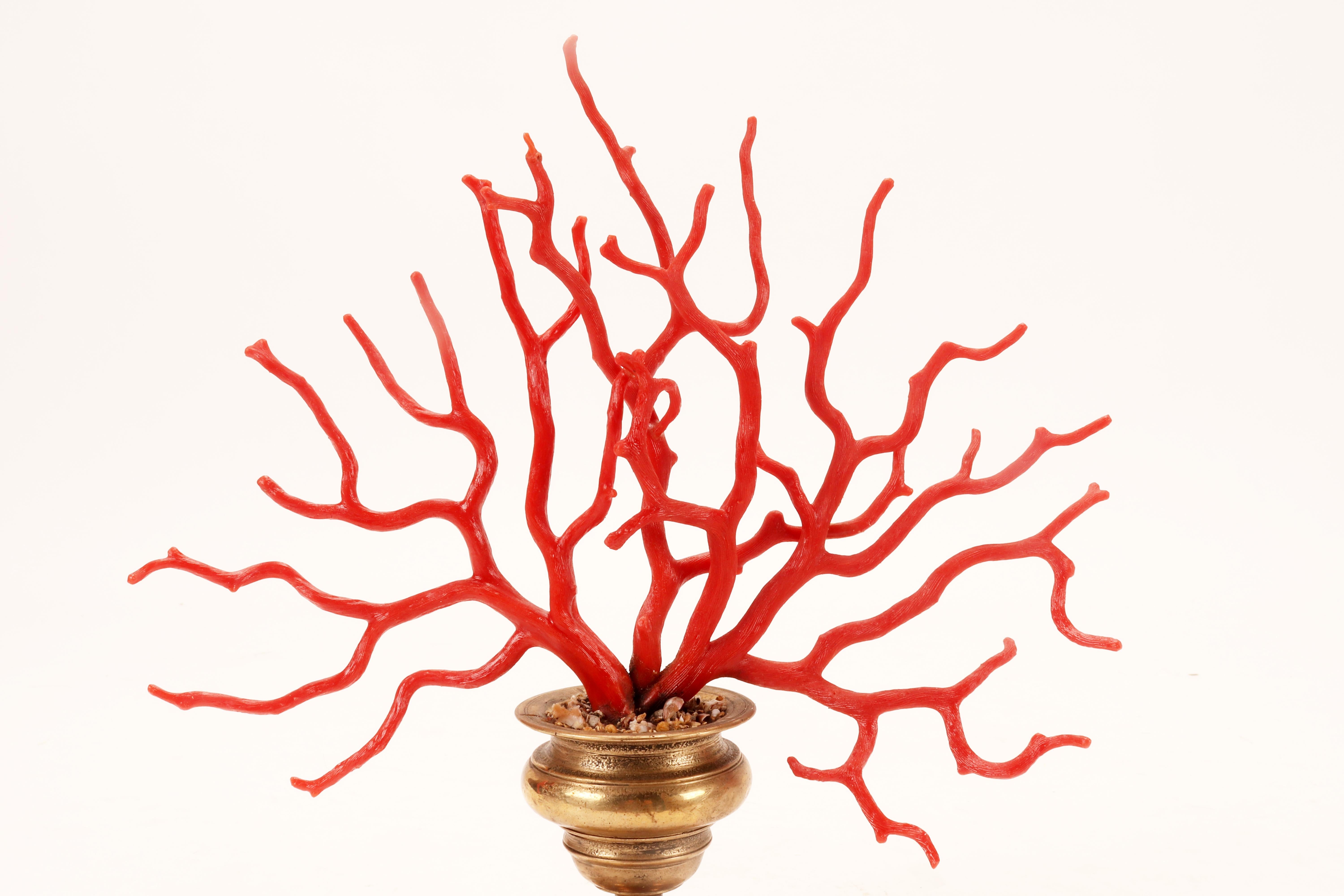 Bronze A large red coral branch from Wunderkammer, Italy 1870.  For Sale