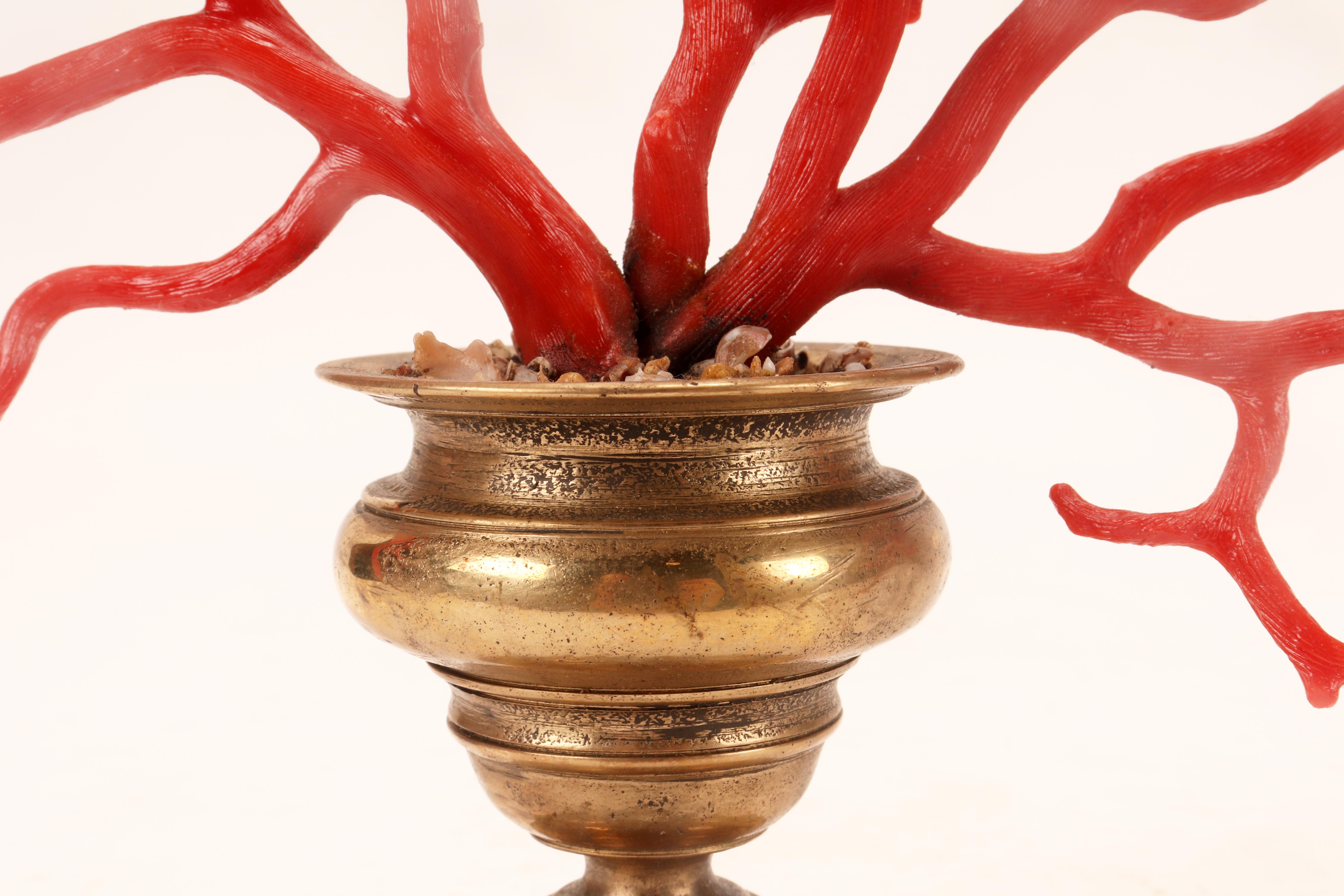 A large red coral branch from Wunderkammer, Italy 1870.  For Sale 1