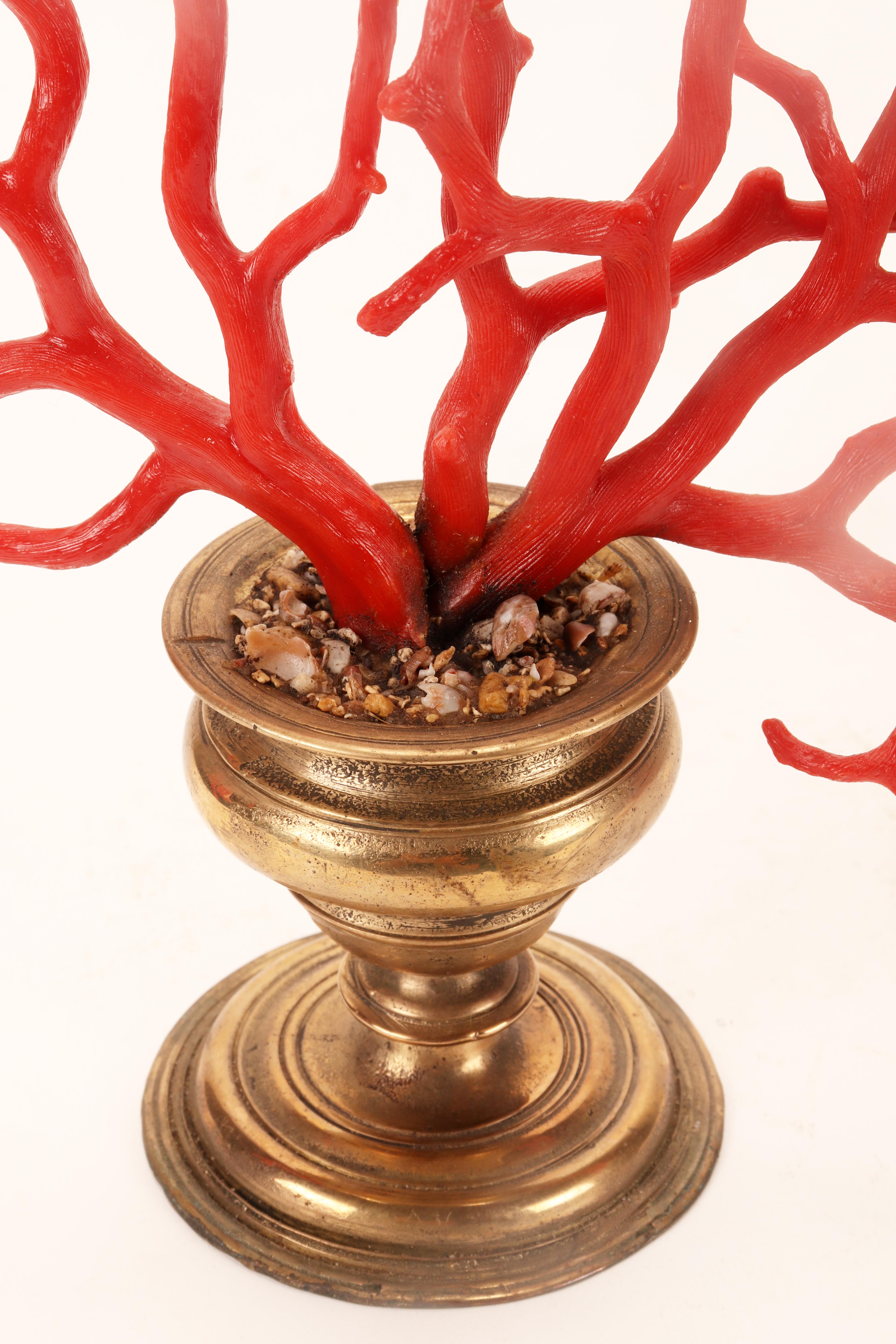 A large red coral branch from Wunderkammer, Italy 1870.  For Sale 3