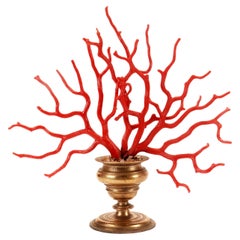 A large red coral branch from Wunderkammer, Italy 1870. 