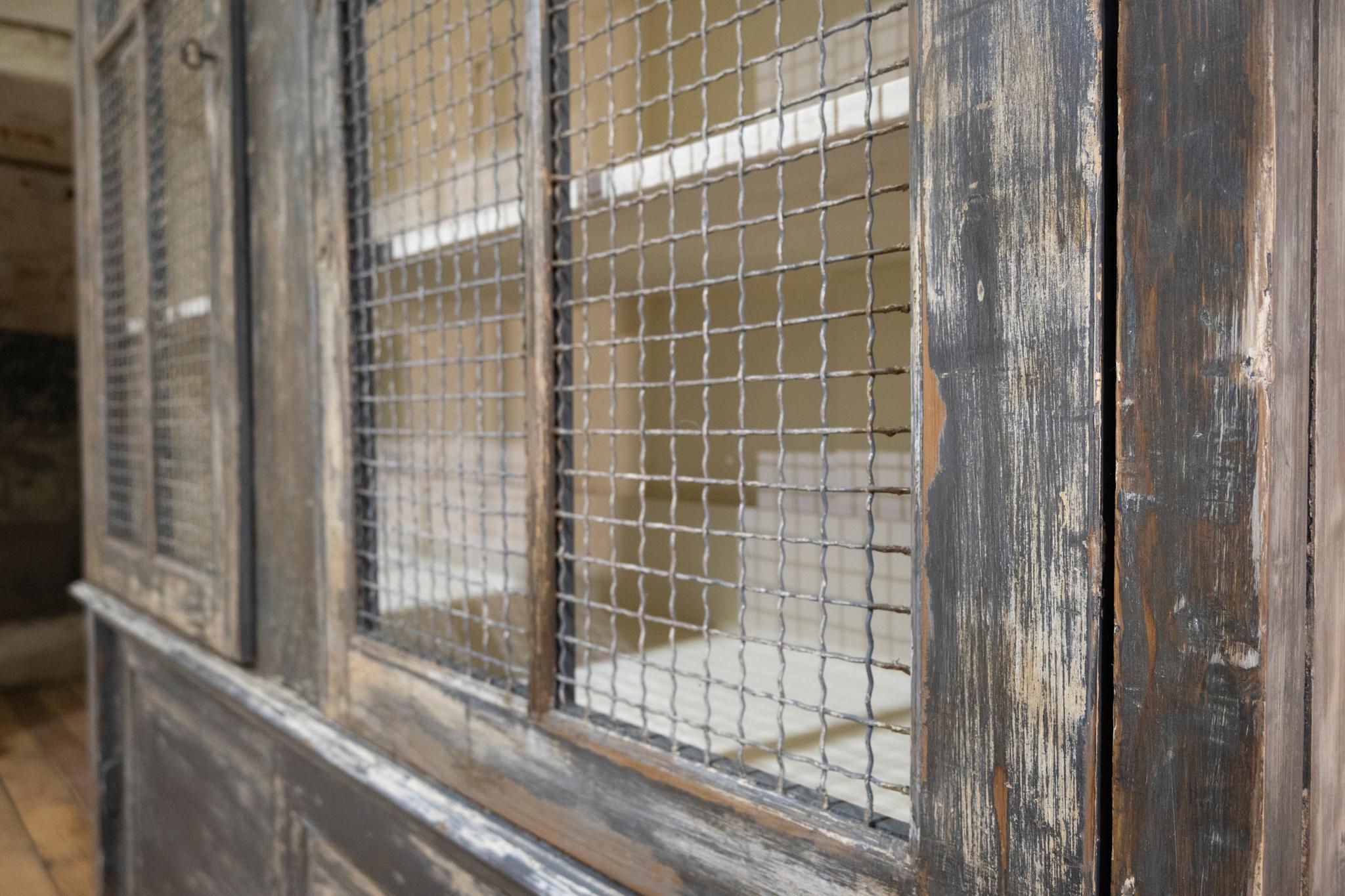 Pine Large Scale 19th Century Painted Housekeepers Cupboard, Mesh Doors