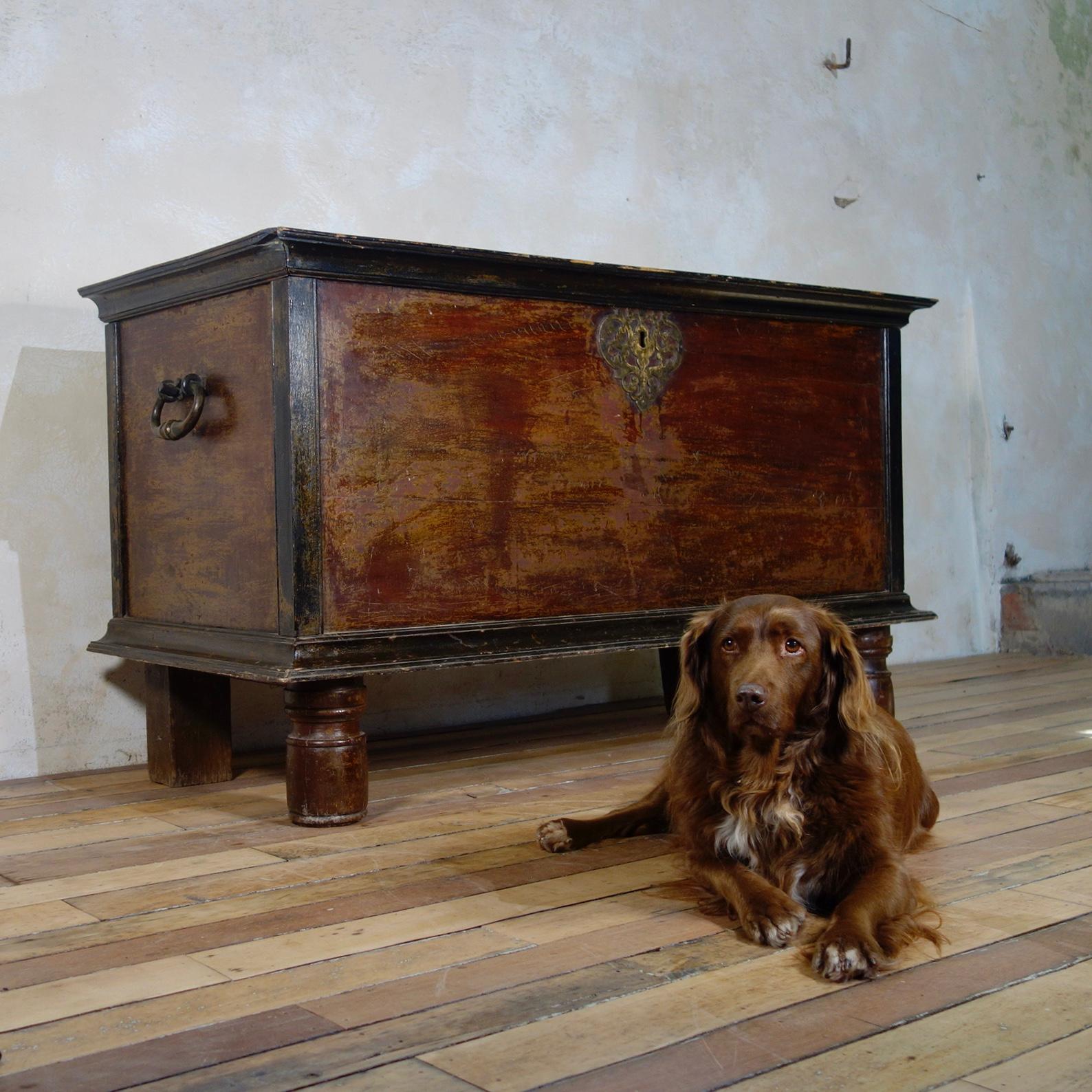Large Scale Late 19th Century Indo Dutch Chest on Feet Trunk In Good Condition For Sale In Basingstoke, Hampshire
