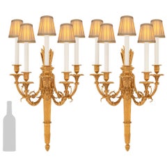 A large scaled pair of French 19th century Louis XVI st. Ormolu sconces