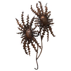 Large Thistle Sconces in Copper
