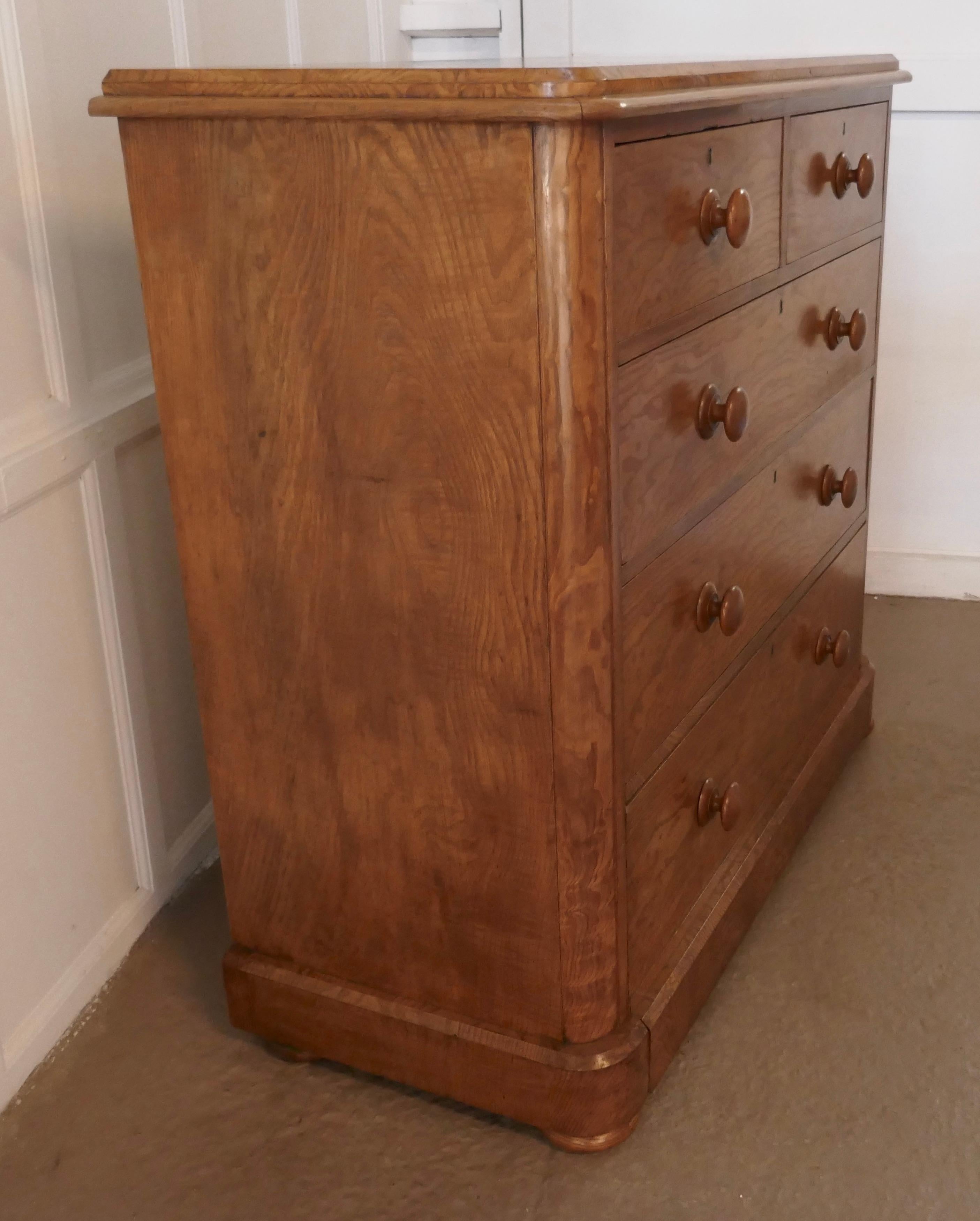 A large Victorian burr ash chest of drawers

It is very rare to find a piece made in burr ash, this is not only a very lovely good quality piece but also very useful. 
The chest has two short drawers at the top and three graduated long drawers