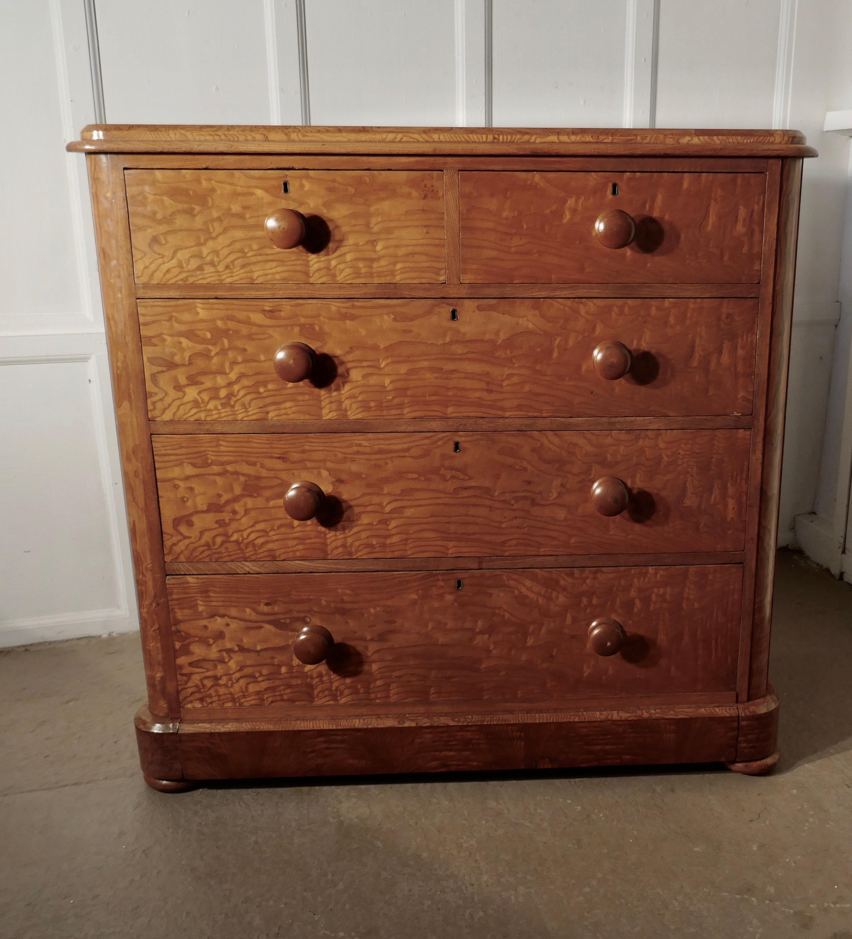 19th Century Large Victorian Burr Ash Chest of Drawers