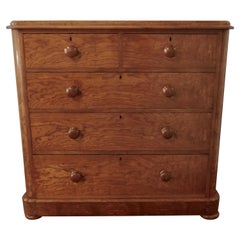 Antique Large Victorian Burr Ash Chest of Drawers
