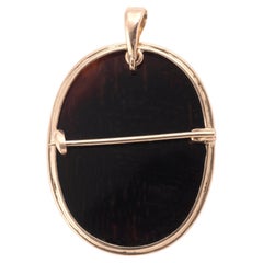 Late 19th Century Agate Cameo Habille' Brooch / Pendant
