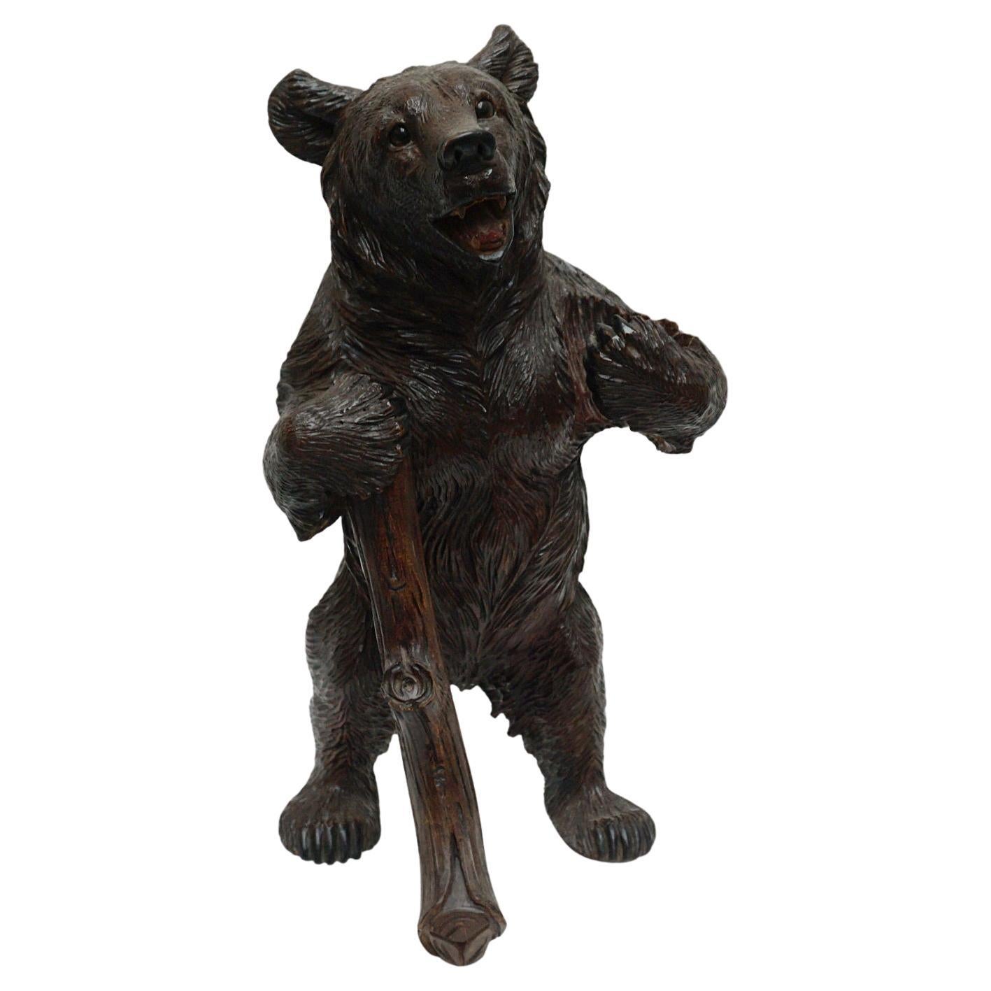 Late 19th Century Carved Black Forest Bear
