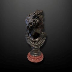 A late 19th Century French bronze bust of Apollo Belvedere