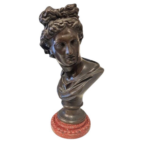 A late 19th Century French bronze bust of Apollo Belvedere en venta