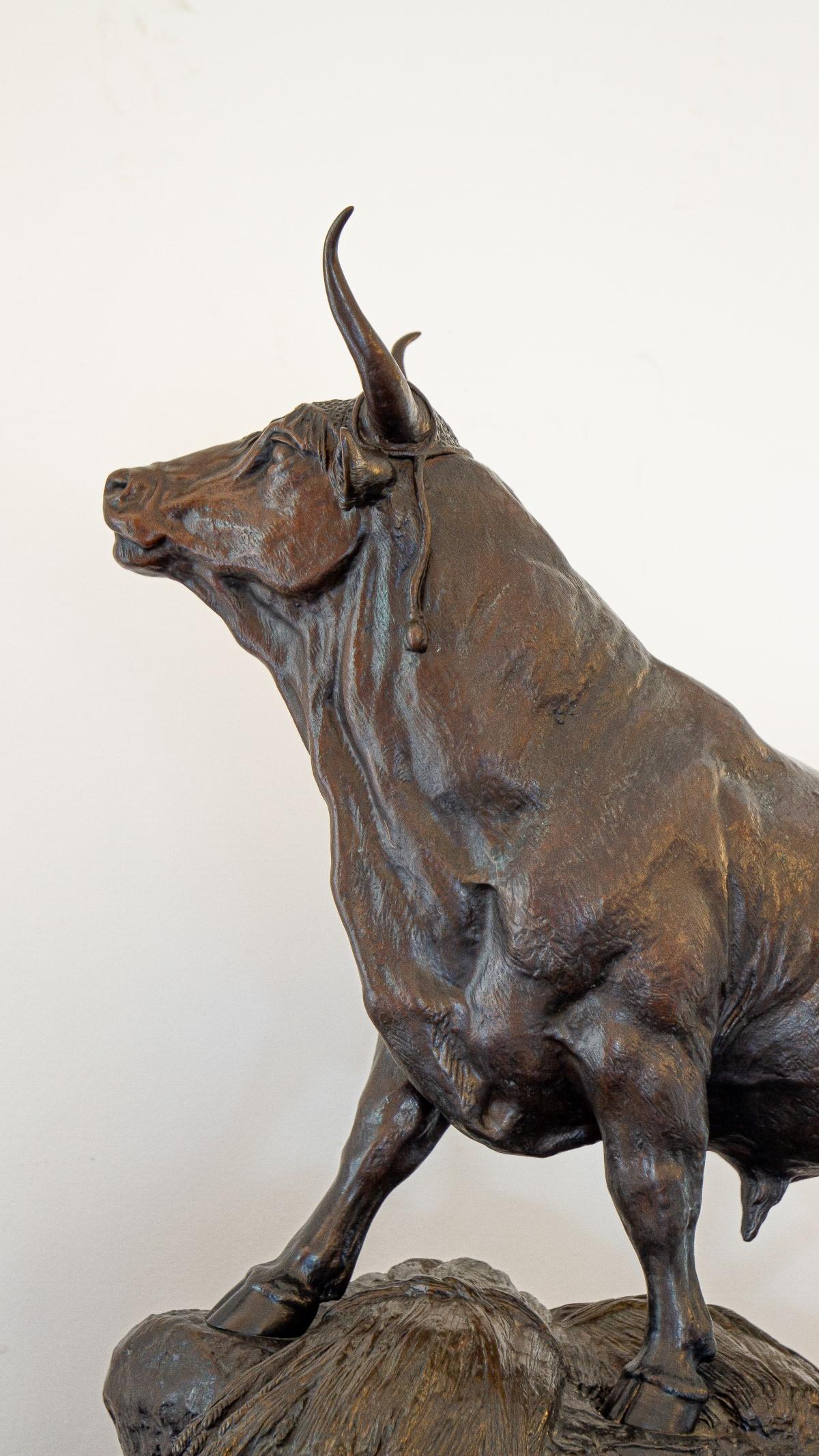 Late 19th Century French Bronze of a Bull by Auguste Cain 3