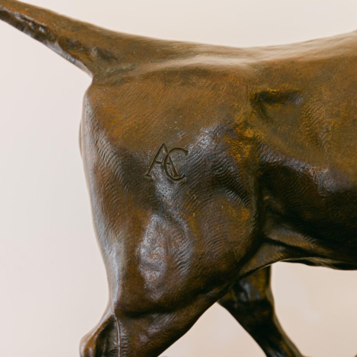 Late 19th Century French Bronze of a Bull by Auguste Cain 5