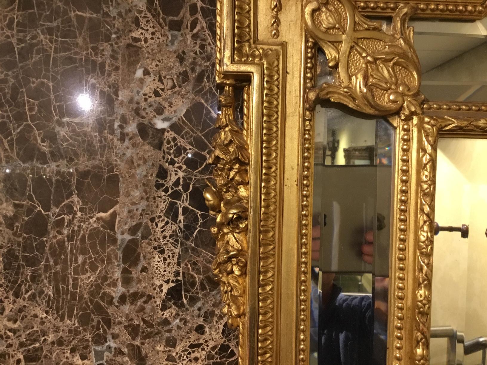 Late 19th Century French Carved Gilt-Wood Margin Mirror 2