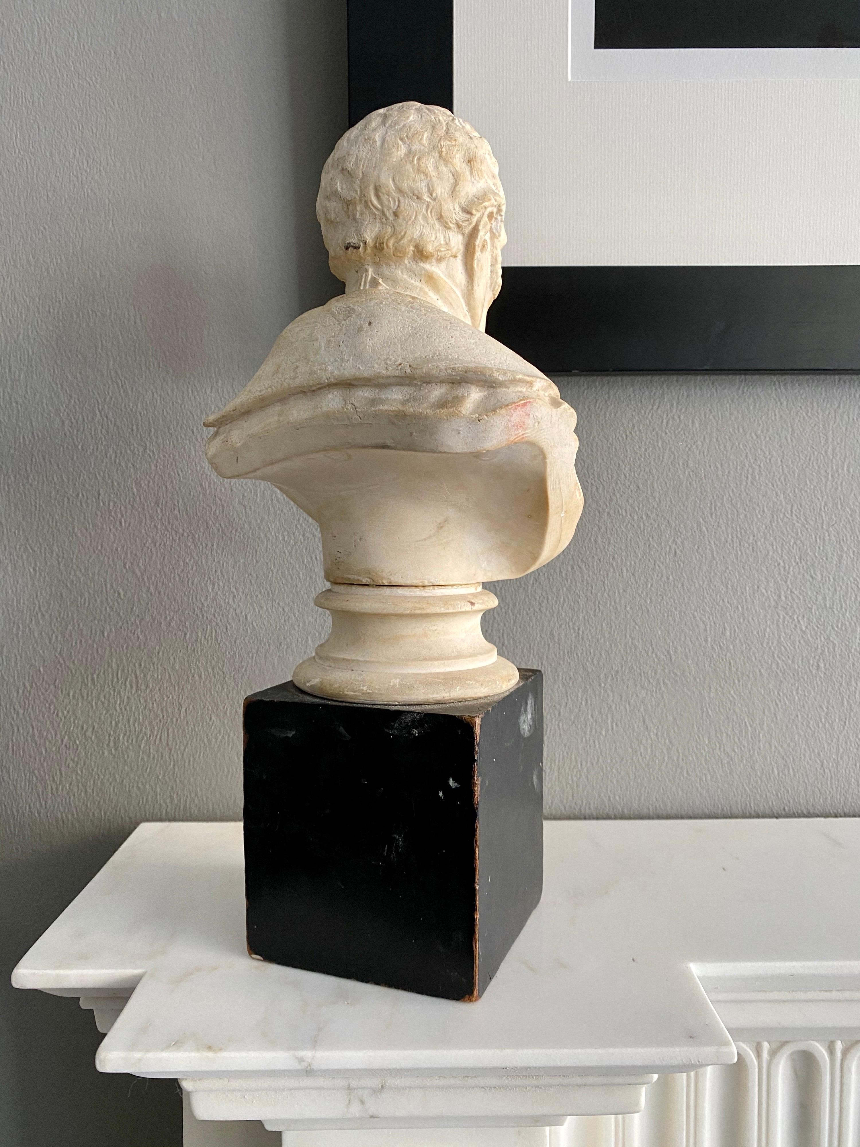 Late 19th Century Plaster Bust of the Duke of Wellington In Good Condition In London, GB