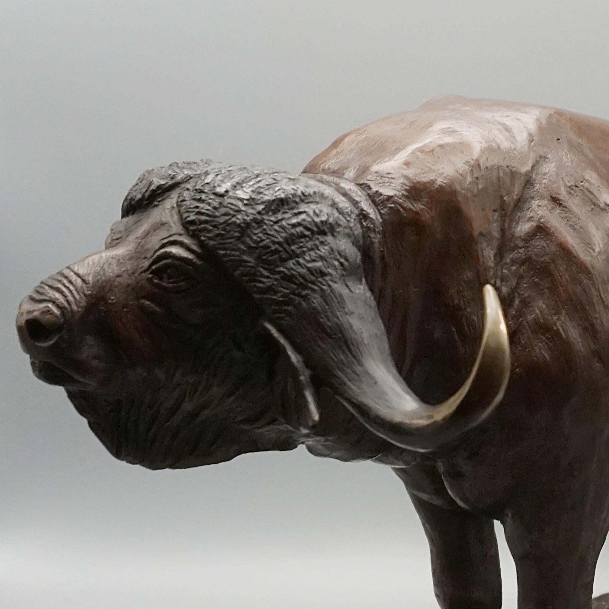 A Late 20th Century Bronze Sculpture of a Buffalo by Denis Mathews 8