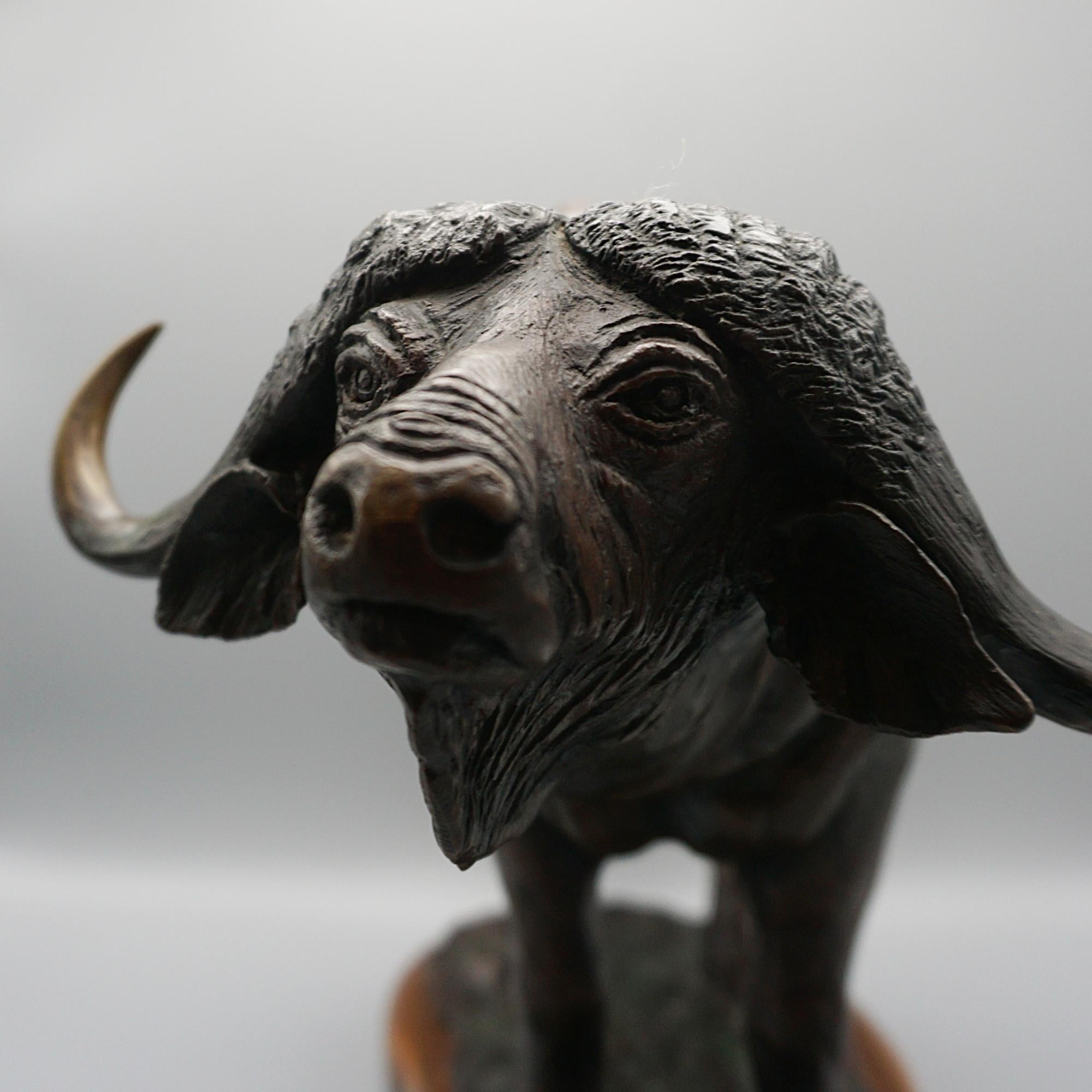 A Late 20th Century Bronze Sculpture of a Buffalo by Denis Mathews 9