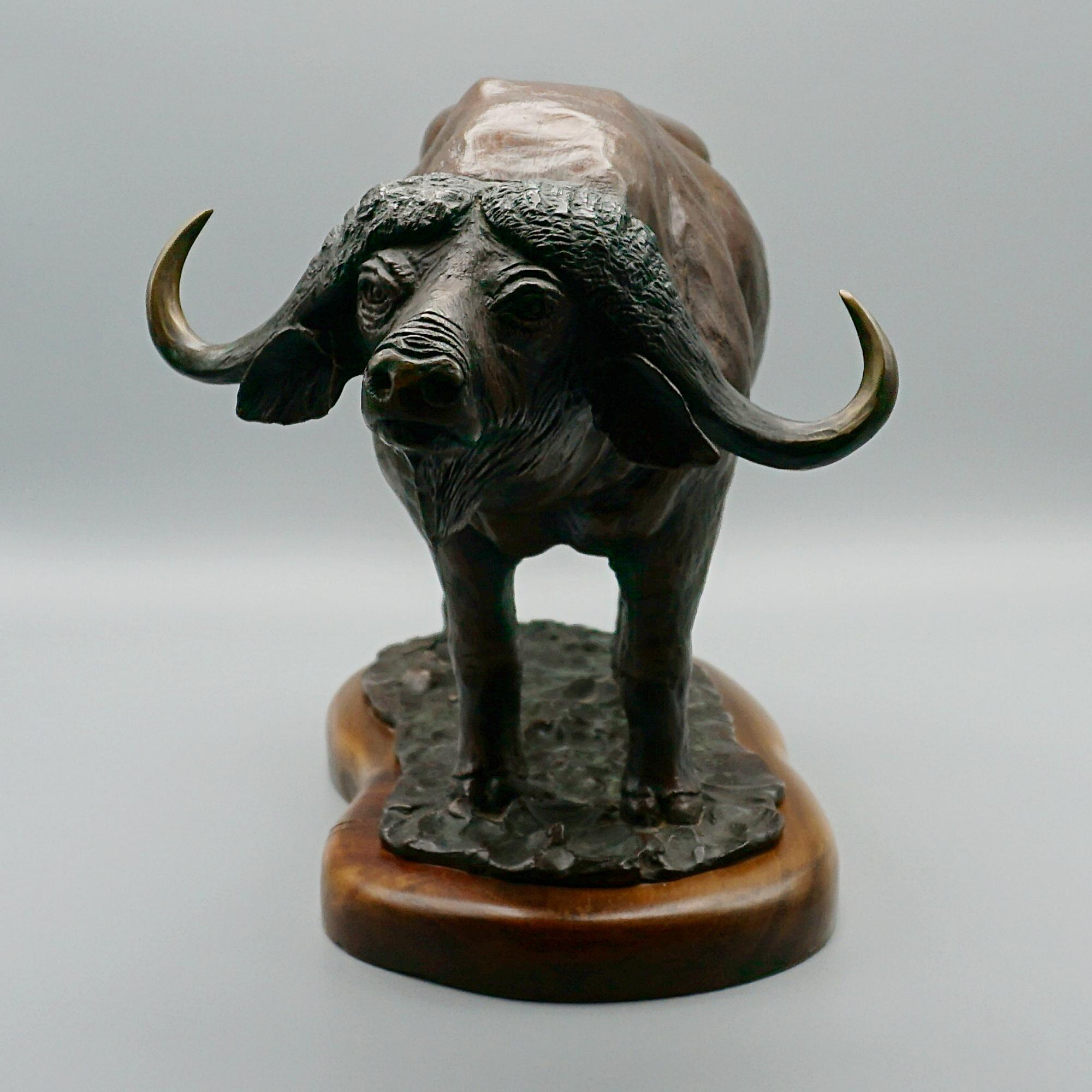 'Buffalo' A late 20th Century bronze sculpture of a Kenyan buffalo by Denis Mathews. Signed and dated 'Denis Mathews' to base. Copy 23/25.

Dimensions: H 23cm W 36cm D 18cm

Origin: Kenyan

Date: Late 20th Century

Item Number: 0910242