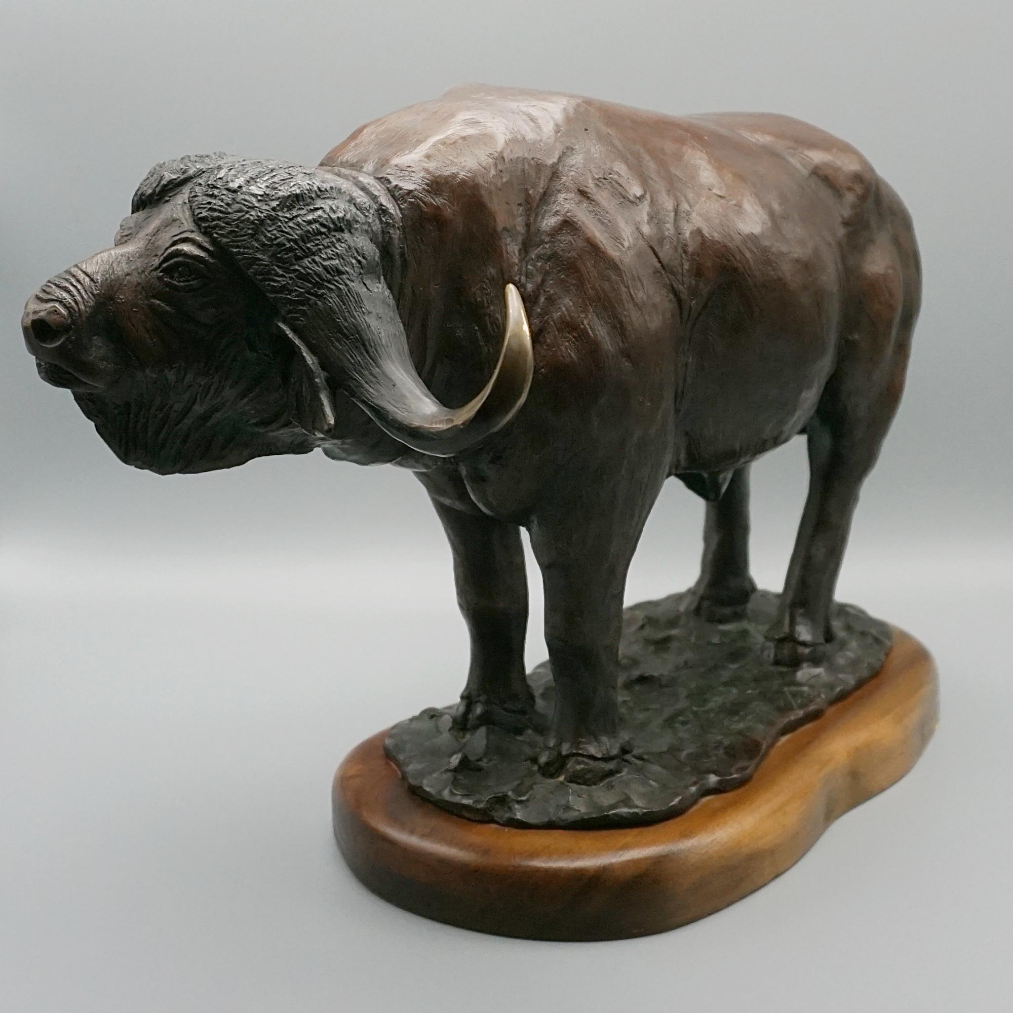 A Late 20th Century Bronze Sculpture of a Buffalo by Denis Mathews In Good Condition In Forest Row, East Sussex