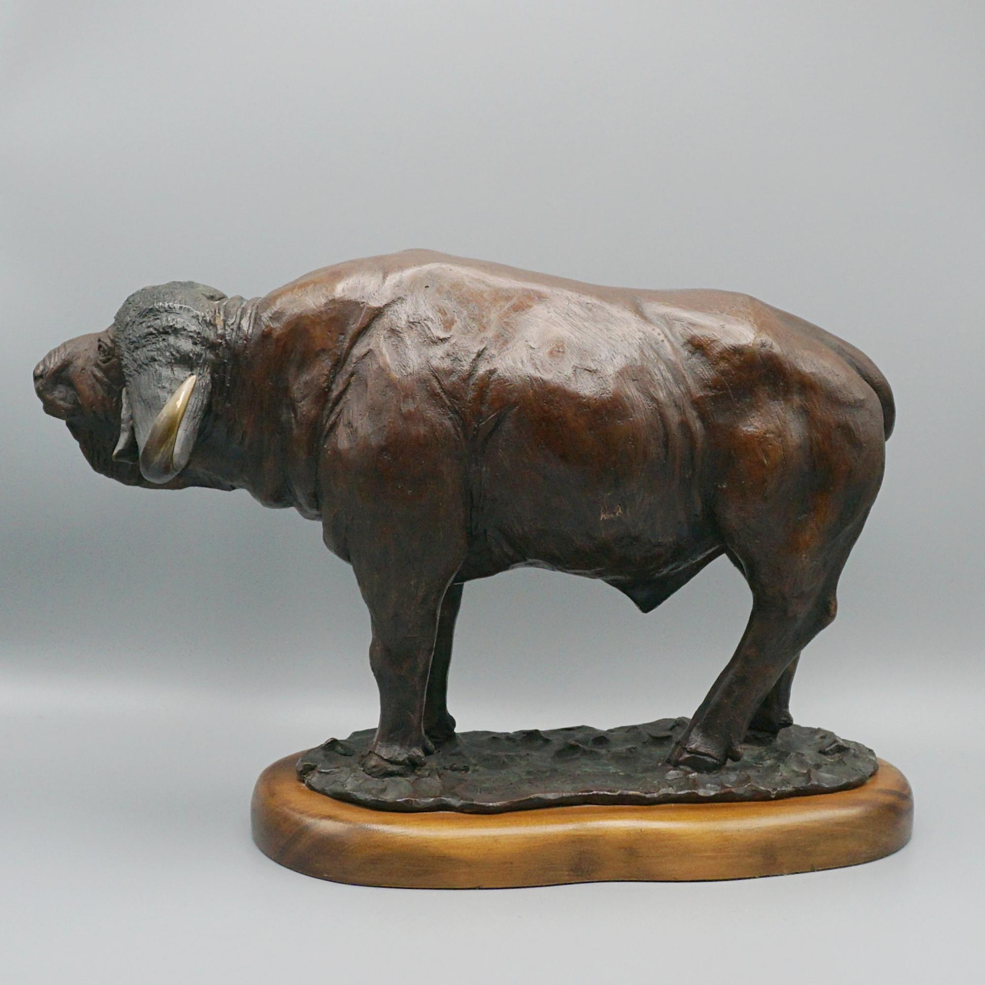 Contemporary A Late 20th Century Bronze Sculpture of a Buffalo by Denis Mathews