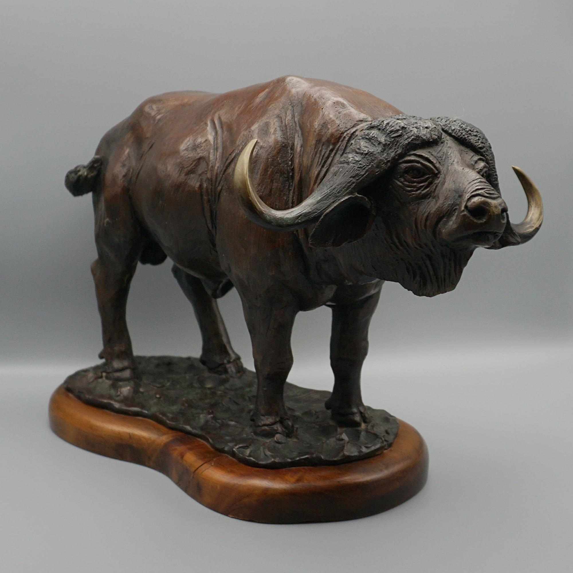 A Late 20th Century Bronze Sculpture of a Buffalo by Denis Mathews 5