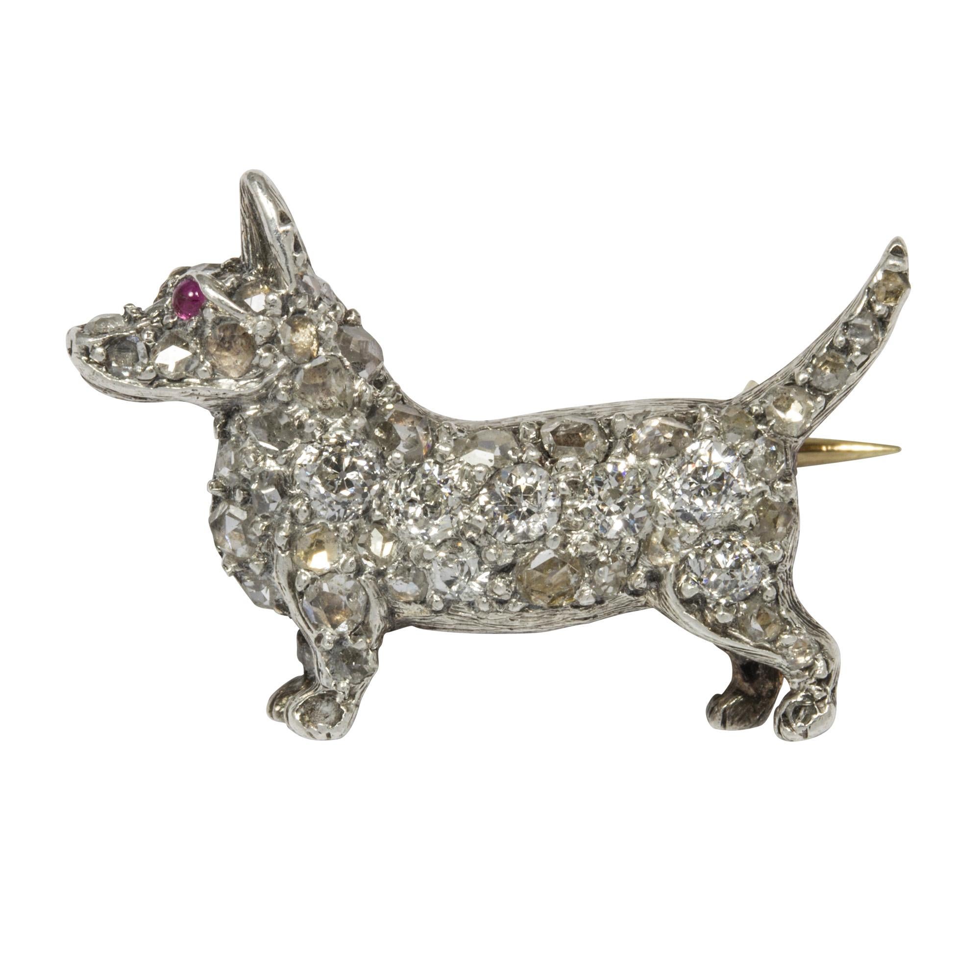 A late Victorian diamond-set brooch, in the form of a corgi dog, pavé set with old brilliant and rose cut diamonds, estimated to weigh a total of 0.7 carats, and a cabochon ruby eyes, silver set to a gold mount with a brooch pin fitting, circa