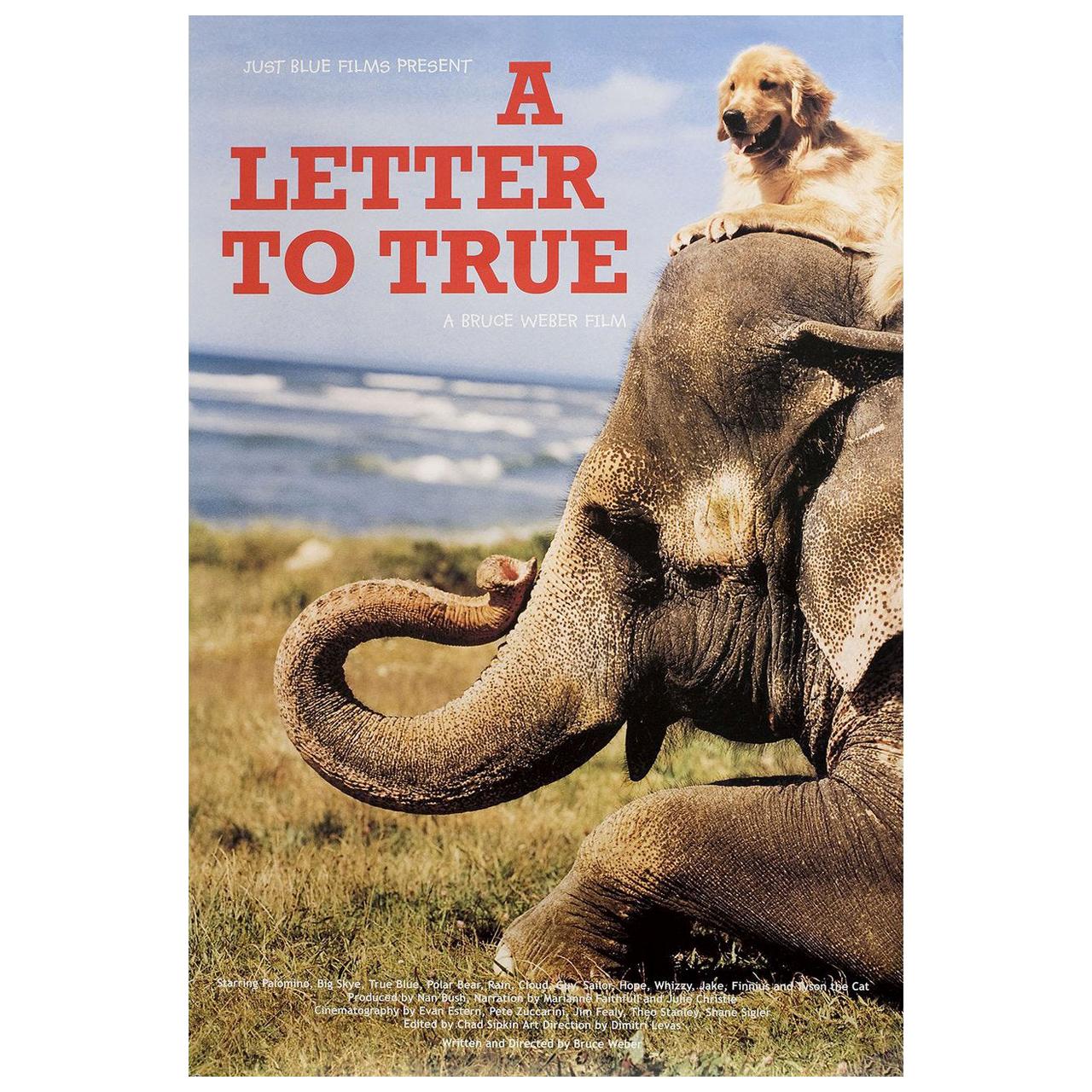 "A Letter to True" 2004 U.S. Film Poster For Sale
