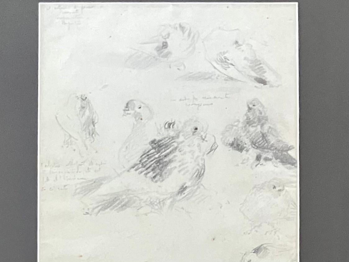 Hand-Painted A. Licola, Italian Dove Sketches For Sale