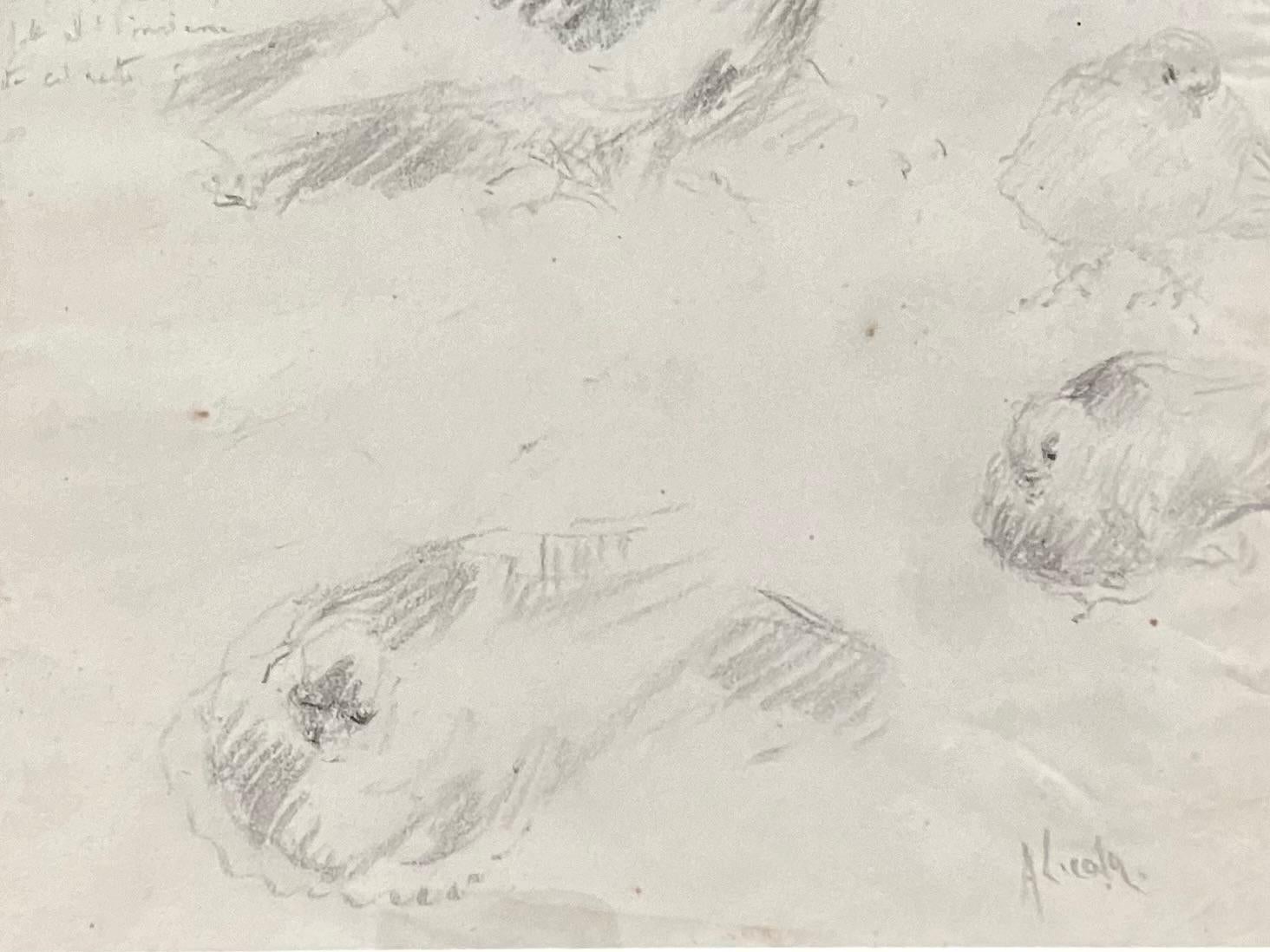 A. Licola, Italian Dove Sketches In Good Condition For Sale In New York, NY