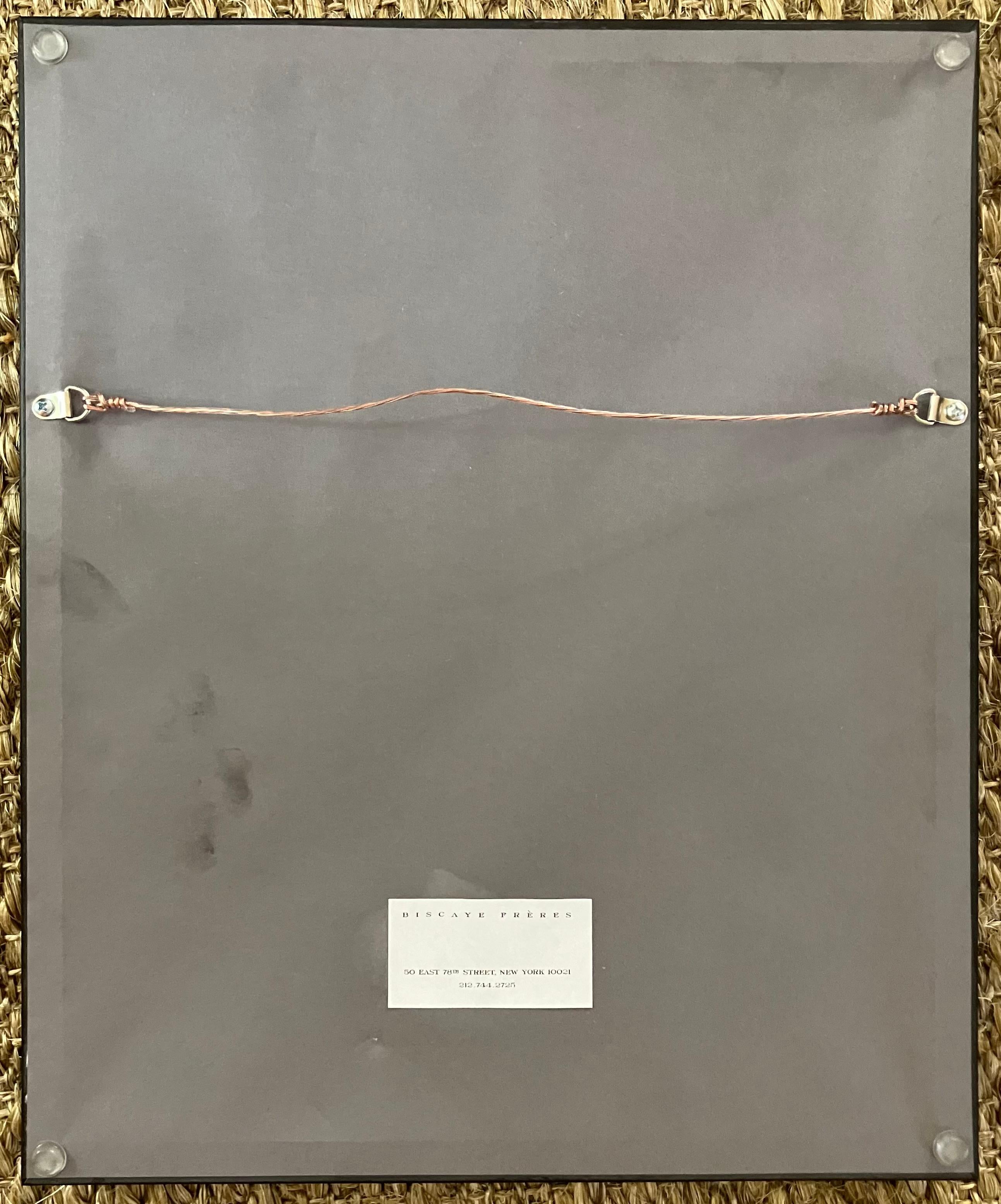 20th Century A. Licola, Italian Dove Sketches For Sale
