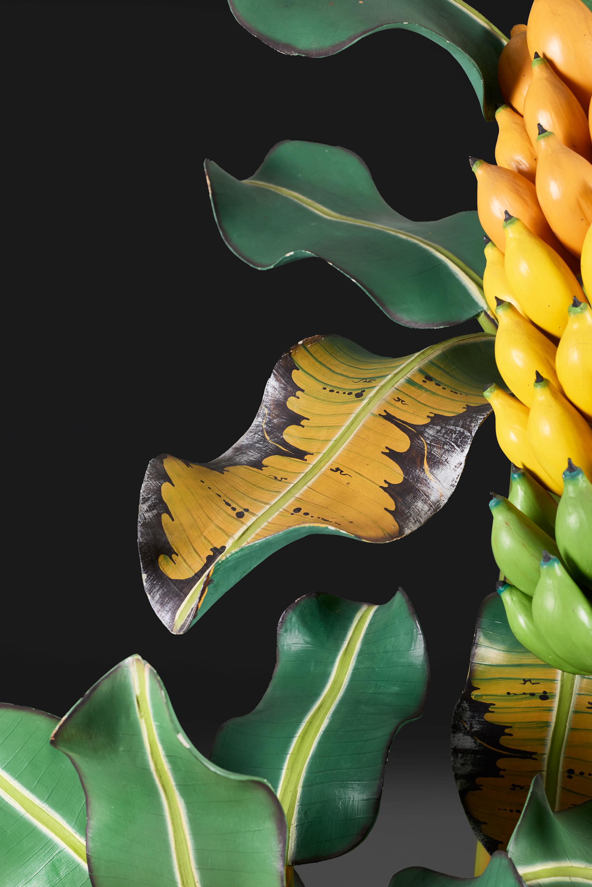 Italian A Life Size Botanical Model of a Banana Tree For Sale