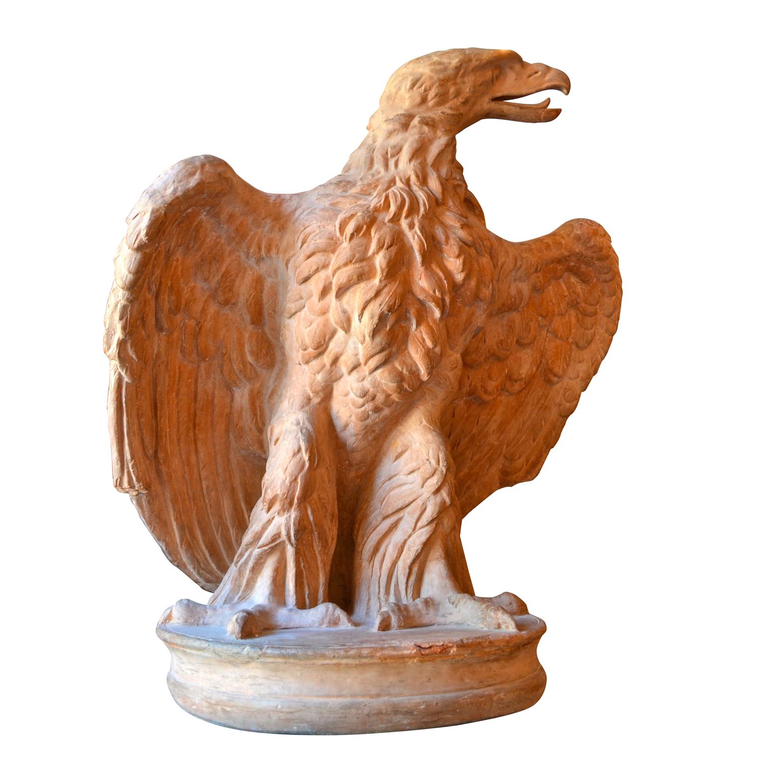 italian eagle