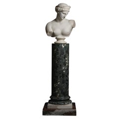 A Lifesize Marble Bust of the Capuan Venus By Gaetano Rossi, After The Antique