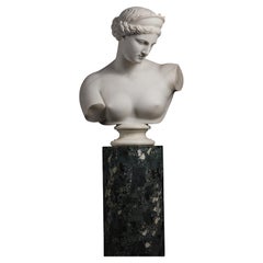 A Lifesize Marble Bust of the Capuan Venus By Gaetano Rossi, After The Antique